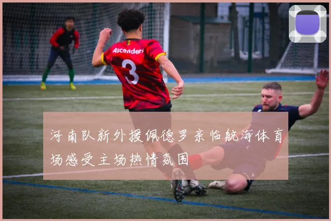 河南队新外援佩德罗亲临航海体育场感受主场热情氛围