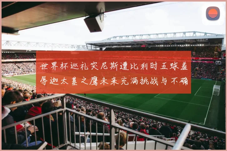 世界杯巡礼突尼斯遭比利时五球羞辱迦太基之鹰未来充满挑战与不确定性